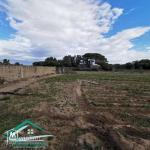 VT778Terrain agricole 5396 m² à hammam ghzez