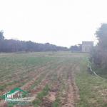VT778Terrain agricole 5396 m² à hammam ghzez