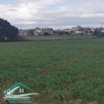 VT778Terrain agricole 5396 m² à hammam ghzez