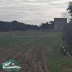 VT778Terrain agricole 5396 m² à hammam ghzez