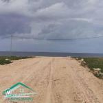 VT782Des terrains à Dar Allouche