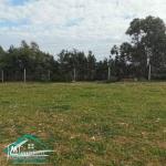 VT782Des terrains à Dar Allouche