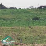 VT782Des terrains à Dar Allouche