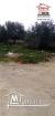 Terrain Petra A Vendre A Borj Touil