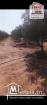 Terrain Agricole Afia à Vendre à Sidi Aich