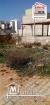 Terrain Triss A Vendre A Raoued