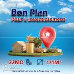 الإستثمار #الآفاريات و #الاسوام #المرفقة27246332