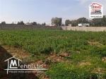 Terrain Kamila à Vendre à Chotrana
