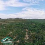 VT790:Terrain agricole 5966 m² à menzel temim