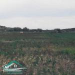 VT790:Terrain agricole 5966 m² à menzel temim