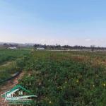 VT790:Terrain agricole 5966 m² à menzel temim
