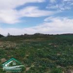 VT790:Terrain agricole 5966 m² à menzel temim