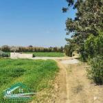 VT792:Terrain agricole 5000 m² à Tahert Kelibia