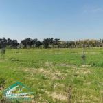VT792:Terrain agricole 5000 m² à Tahert Kelibia