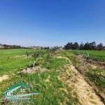 VT792:Terrain agricole 5000 m² à Tahert Kelibia