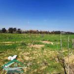 VT792:Terrain agricole 5000 m² à Tahert Kelibia