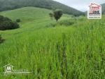 Terrain Agricole Safi à Vendre à Mornag