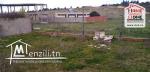 Terrain Triada A Vendre A  Borj Touil