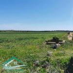 VT804Terrain 3207 m² à wed khatf Kelibia