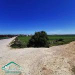 VT804Terrain 3207 m² à wed khatf Kelibia