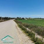 VT804Terrain 3207 m² à wed khatf Kelibia