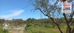 Terrain Agricole à Vendre à Menzel Bourguiba
