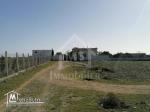 Terrain de 557 m² à vendre à 90 MD à Hammamet Sud 51355351