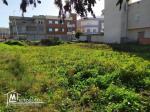 Terrain à vendre à Menzel Abderrahman (bir essenia)