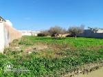 Terrain à vendre à Menzel Abderrahman (bir tarbi3a)