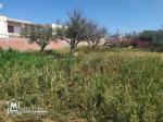 Terrain à vendre à Menzel Abderrahman (bir tarbi3a)