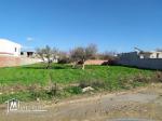Terrain à vendre à Menzel Abderrahman (bir tarbi3a)
