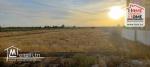 Terrain Agricole Jemma à Vendre à Béjaoua