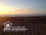 Terrain 1ere position Sidi Youssef
