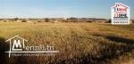 Terrain Agricole Jastin A Vendre A borj Touil