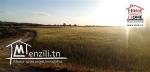 Terrain Hunday A Vendre A Borj  Touil