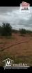 Terrain Agricole Zelina à Vendre à Sidi Aich