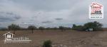 Terrain Agricole Elga à Vendre d'EL Fahs