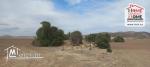 Terrain Agricole Elga à Vendre d'EL Fahs