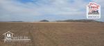 Terrain Agricole Elga à Vendre d'EL Fahs