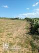 magnifique terrain a beni wael