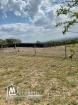 magnifique terrain a beni wael