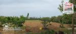 Terrain Agricole Asouja à Vendre à Ghar EL Mellah