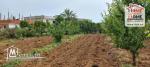 Terrain Agricole Asouja à Vendre à Ghar EL Mellah