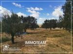 Un beau terrain de 4000 m2 a vendre  à sidi Hammed Hammamet