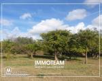 Un terrain a vendre situé à bir bouragba  Hammamet