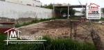 Terrain  narcis A Vendre A Borj Touil
