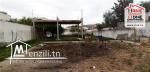 Terrain  narcis A Vendre A Borj Touil