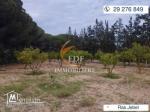 Réf 3353 senia de 4638m² à Ras Jebel Bizerte