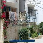 petite immeuble a soviva chott meriem