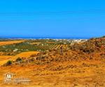 terrain a vendre a monchar yasmine hammamet profitez et soyez les bienvenues a notre agence